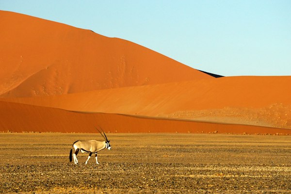 Iconic view of Namibia